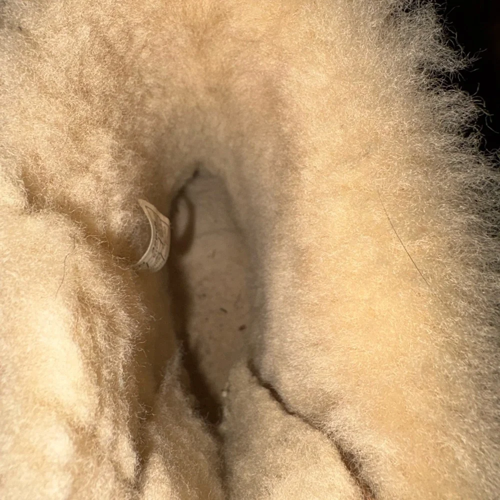 UGG Cozy Tan Suede Boots with Fur Lining